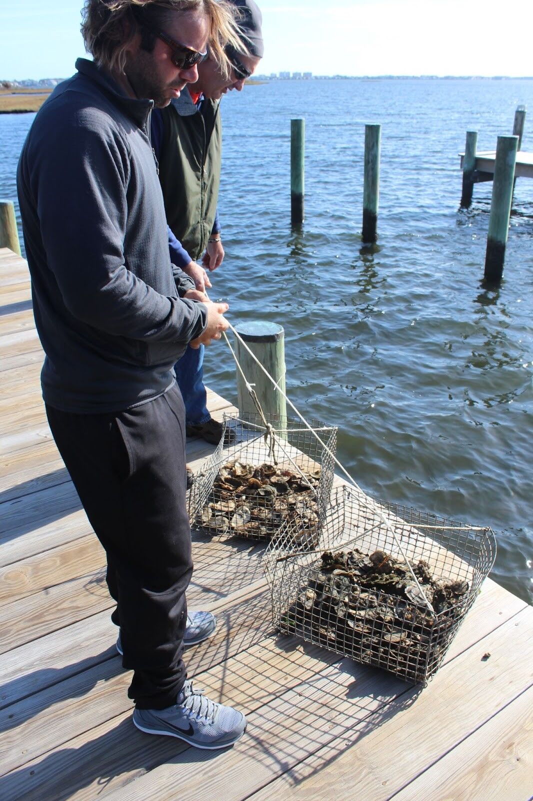 Oyster gardening 2.jpg